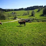 Einsiedlhof Appartement *
