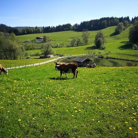 Einsiedlhof Apartment *